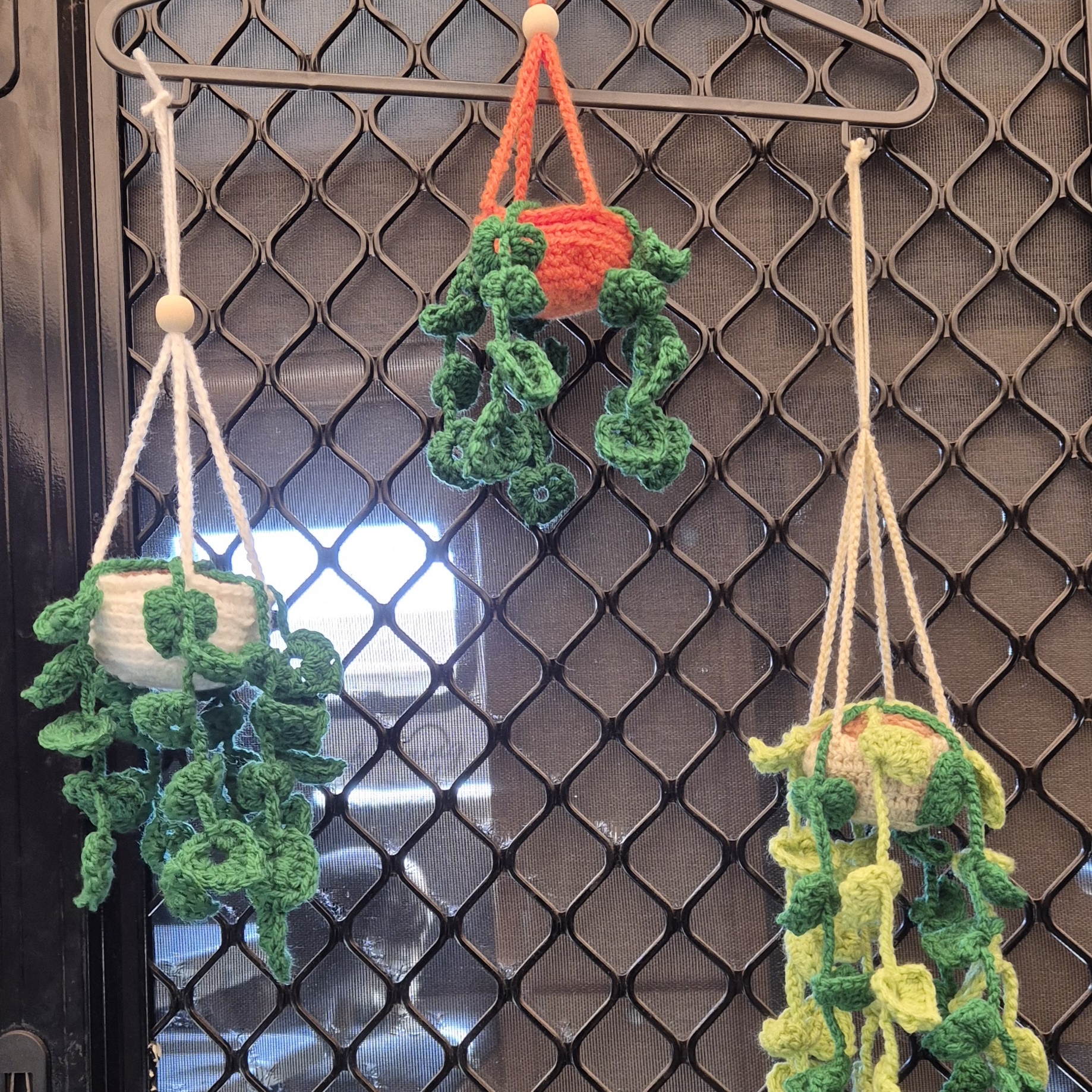 Hanging Plant
