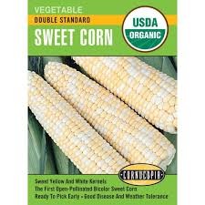 Double Standard Sweet Corn Seed Pack, Organic