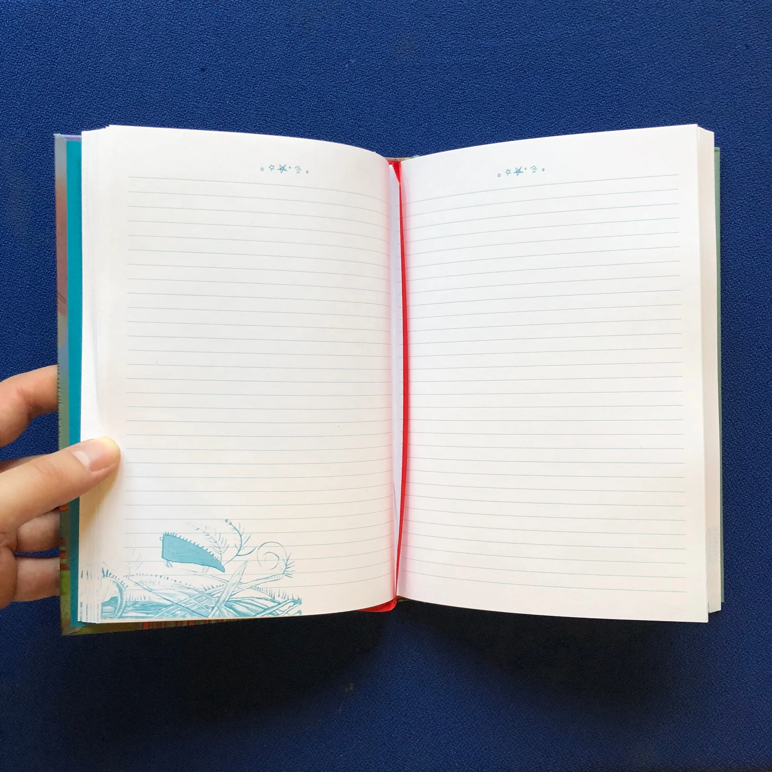 Humpback Whale Journal by Alan Syliboy