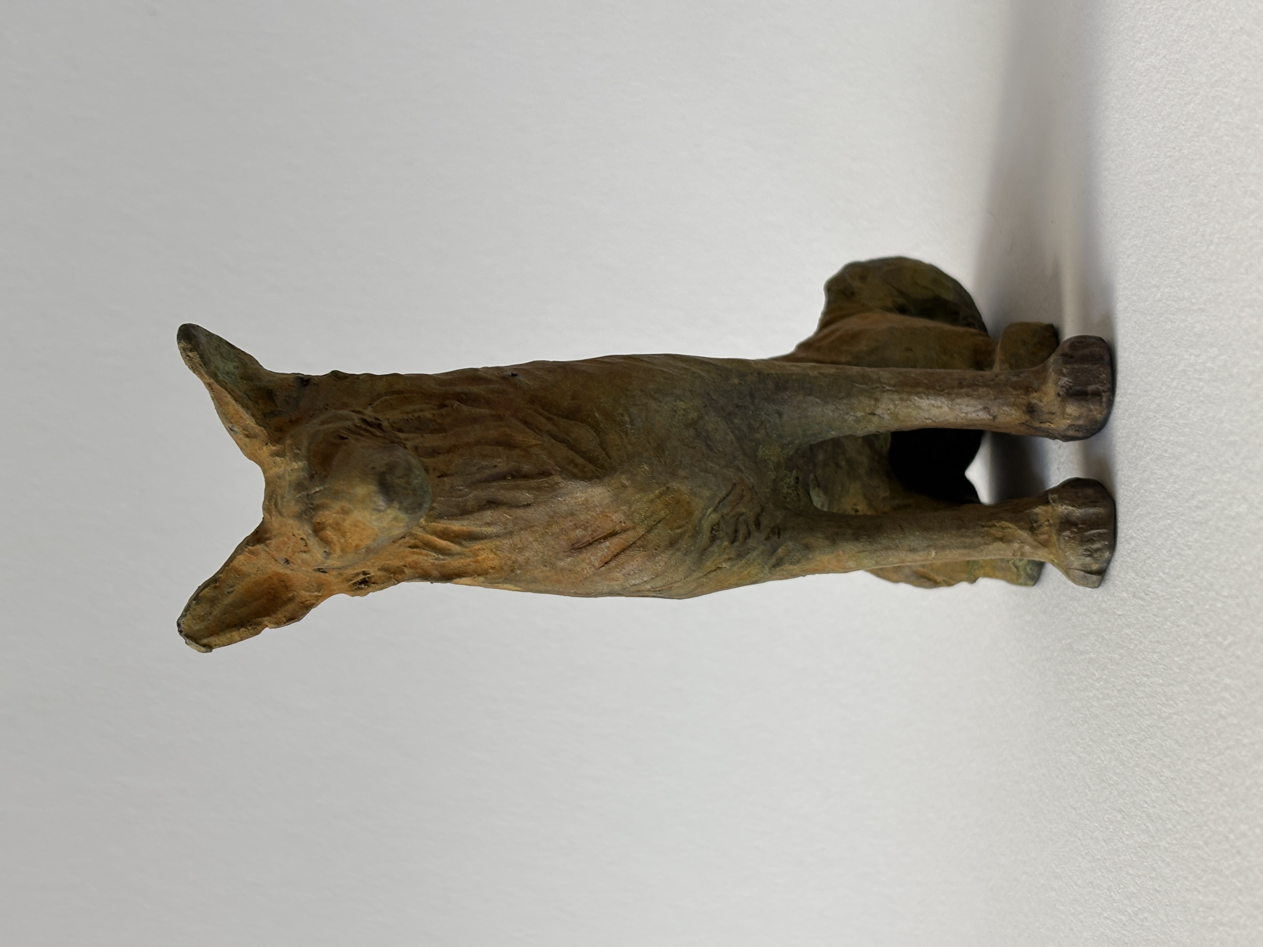 Gwynn Murrill - Dog Sitting