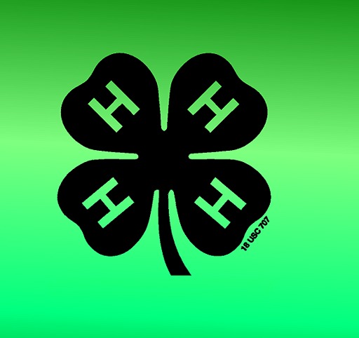4-H category
