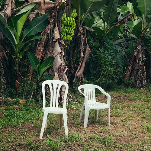 Bad Bunny - Debí Tirar Más Fotos - Double Opaque by Unknown Artist - View 1