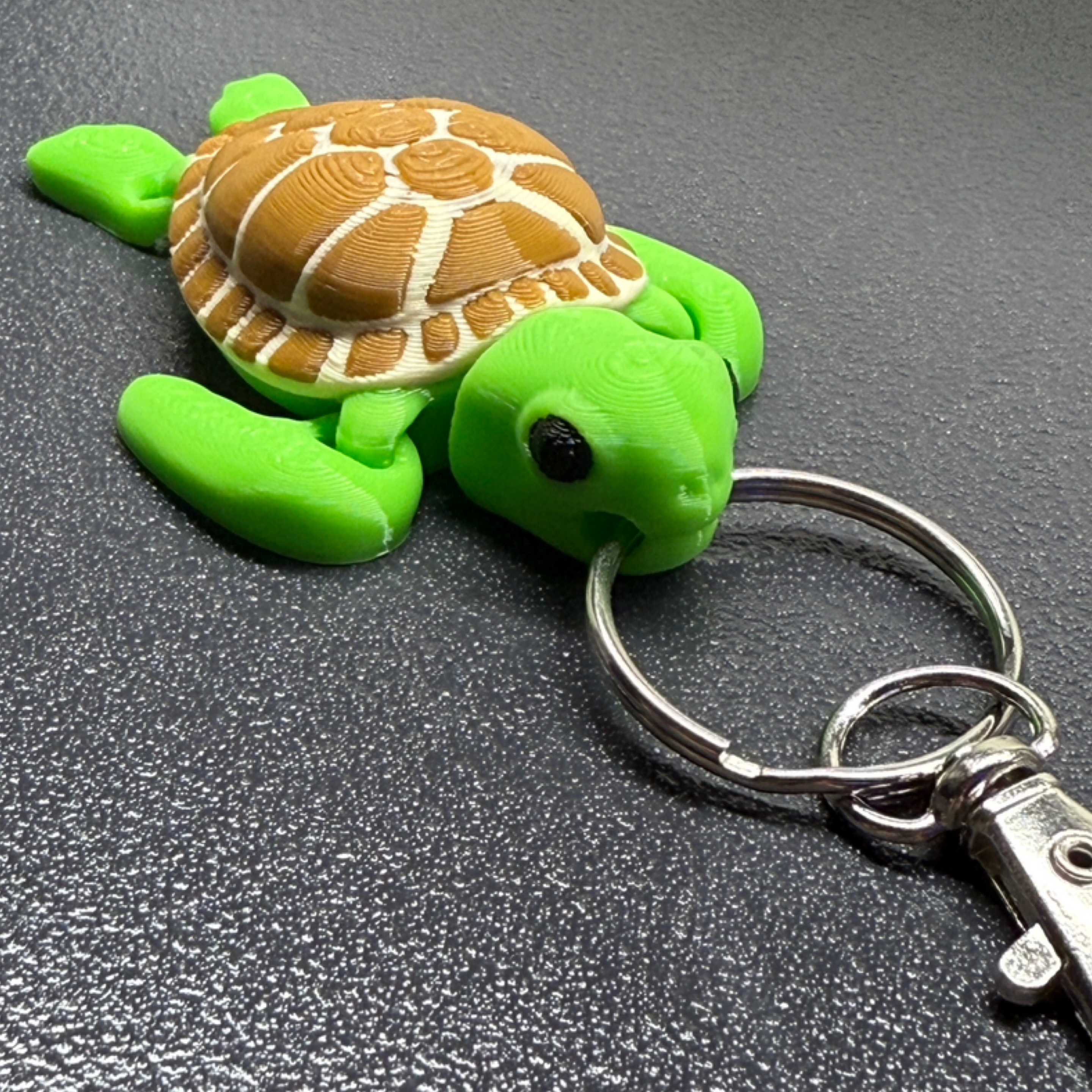 KC sea turtle
