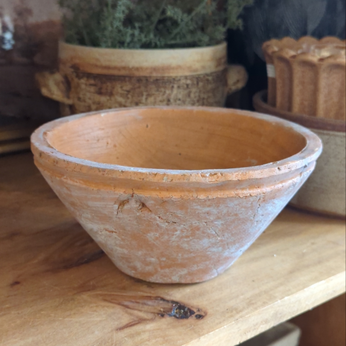 Aged terracotta bowl planter