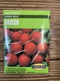 Cherry Belle Radish Seed Pack, Organic