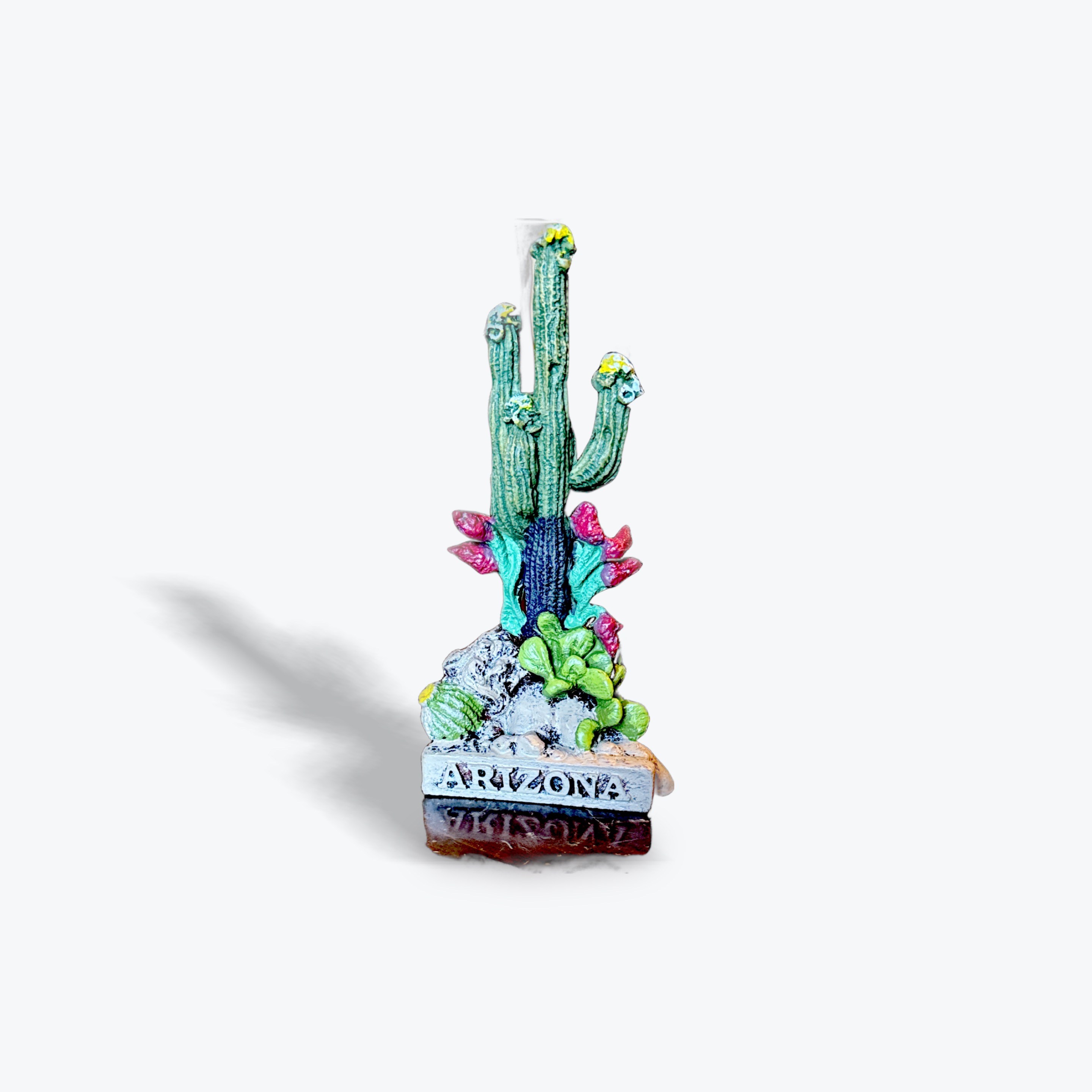 6" Saguaro