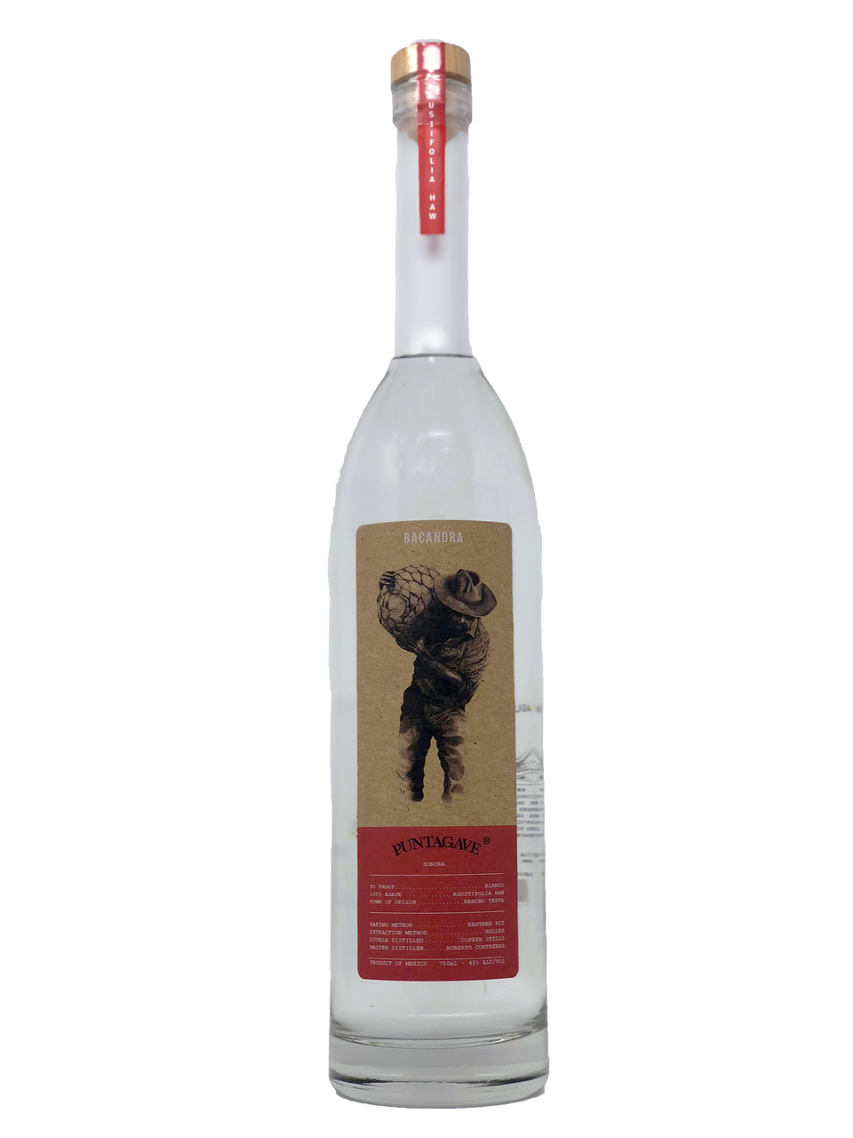 Puntagave "Rustico" Bacanora Blanco