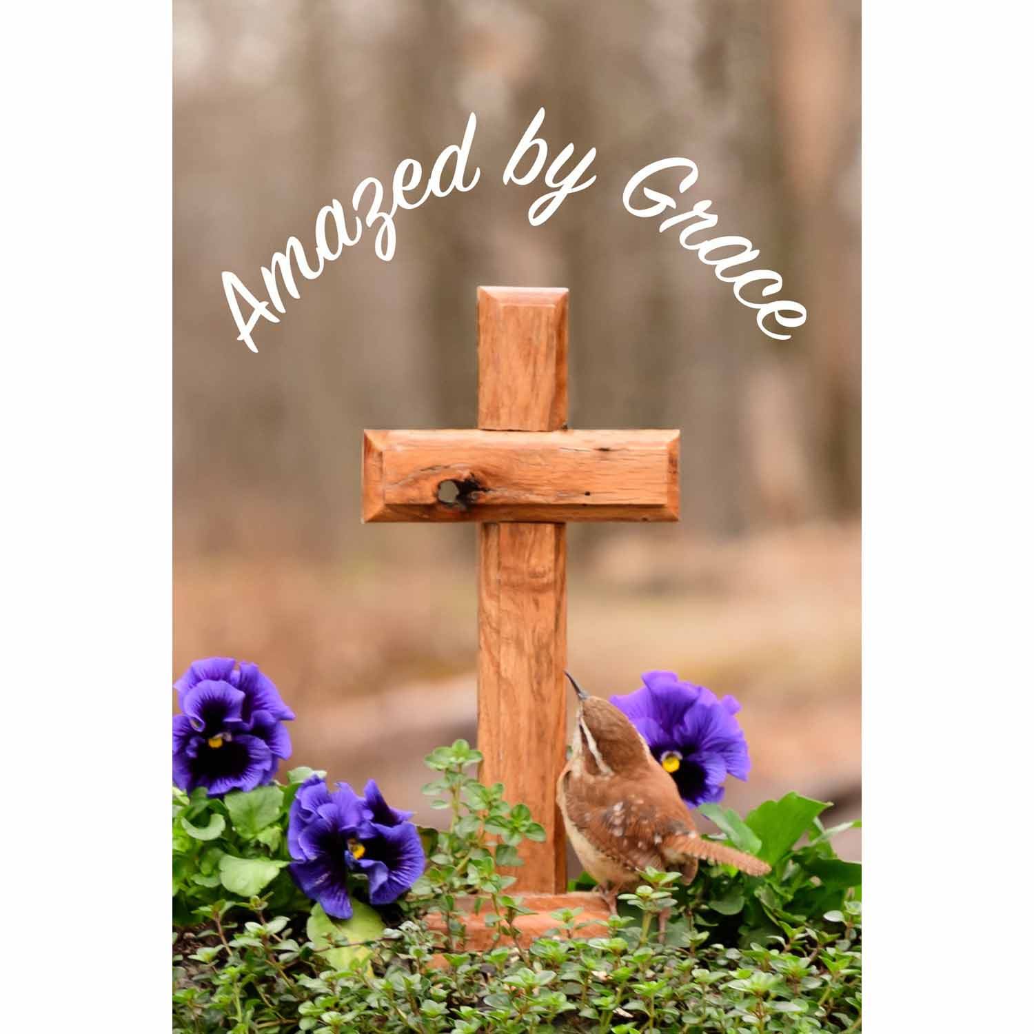 Amazed by Grace