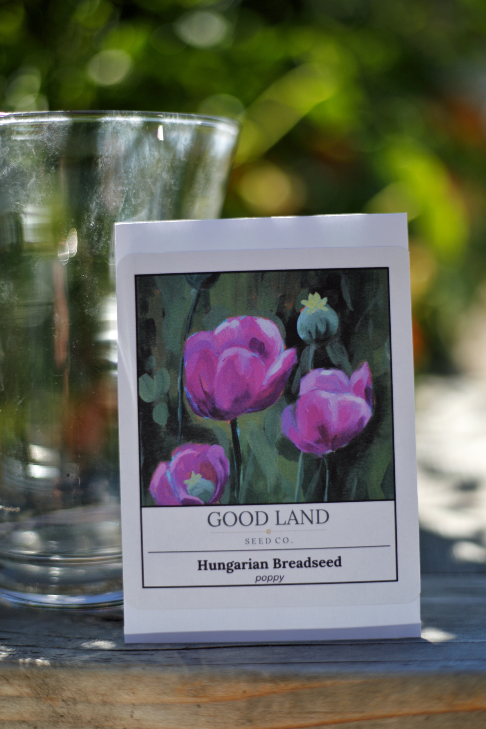 Hungarian Breadseed Poppy