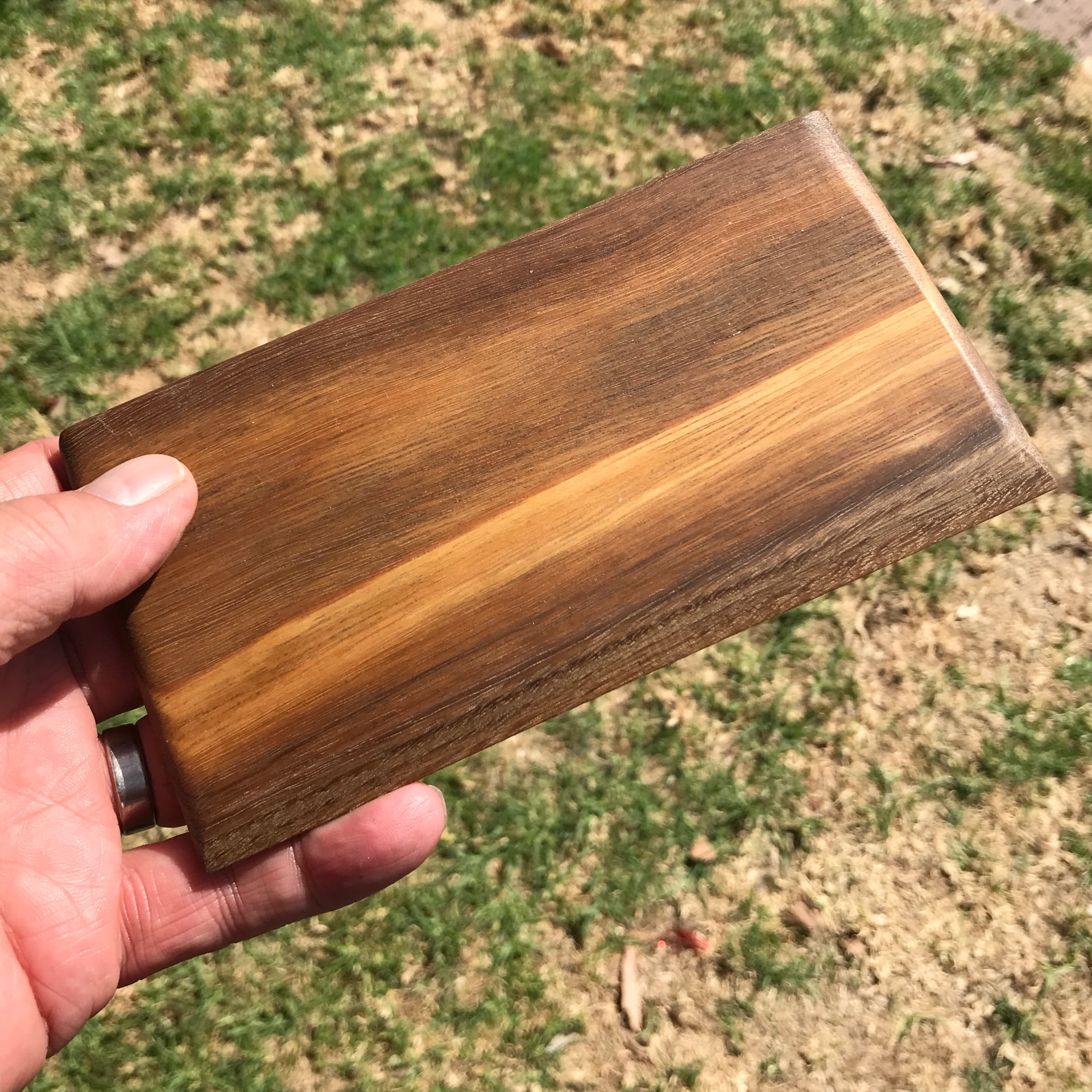Bakers scraper knife