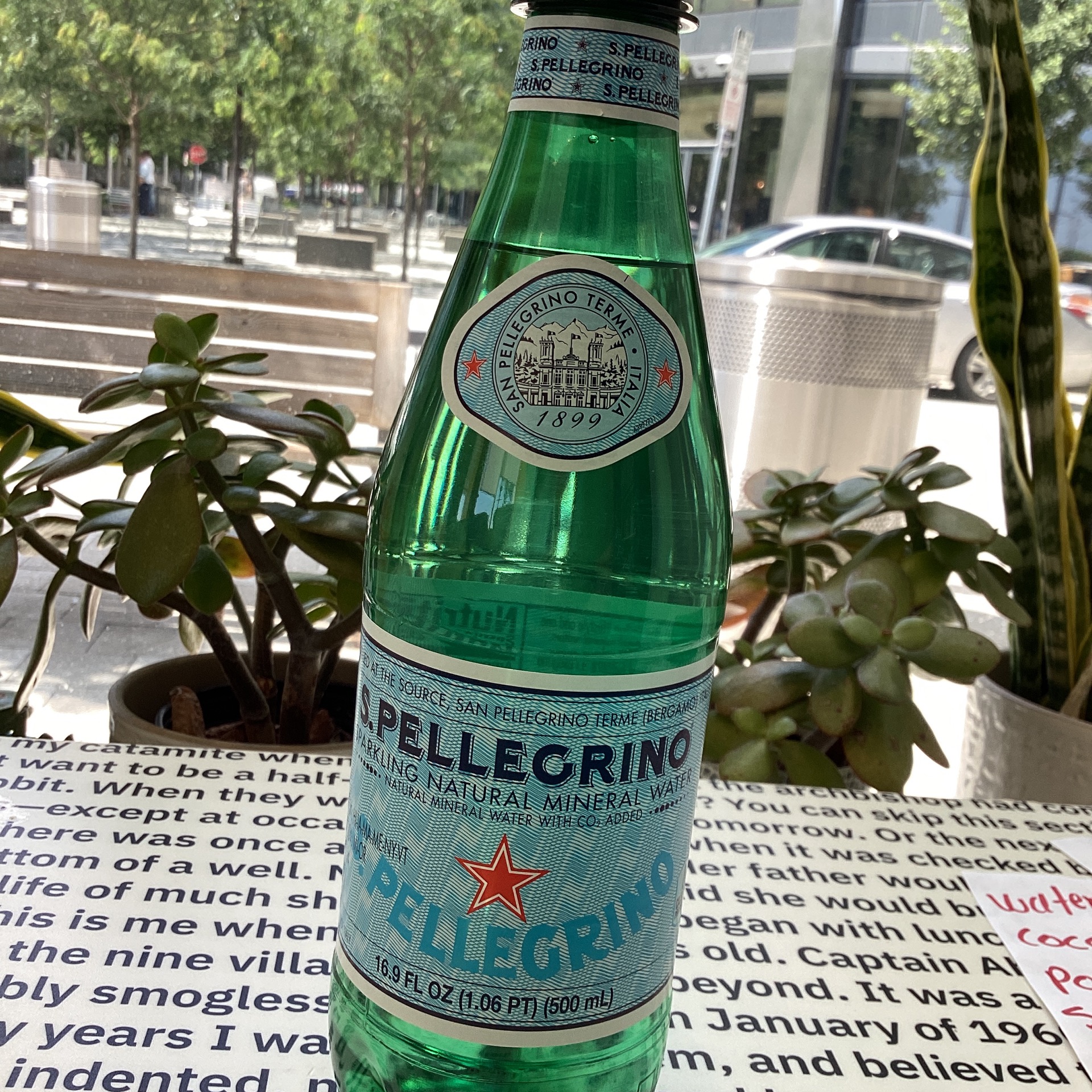 San Pellegrino  water large