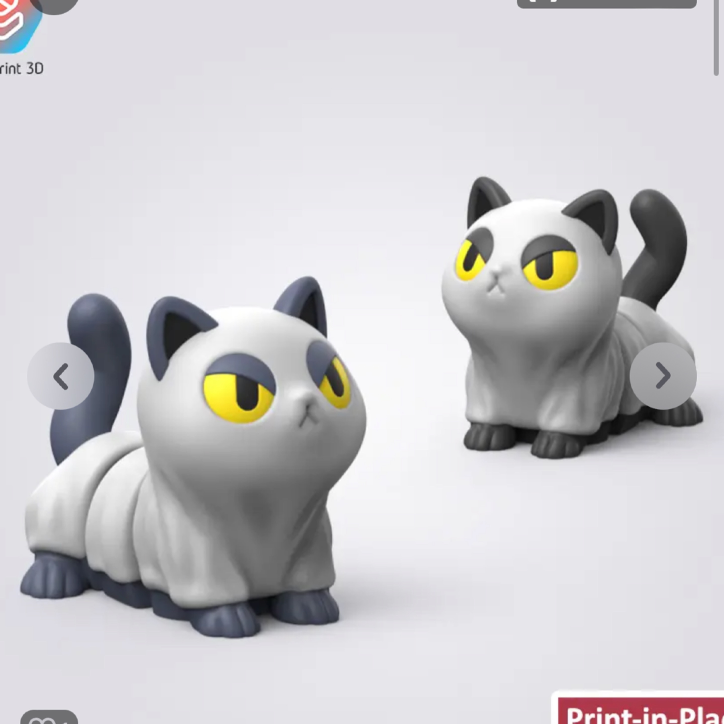 Ghost Cats