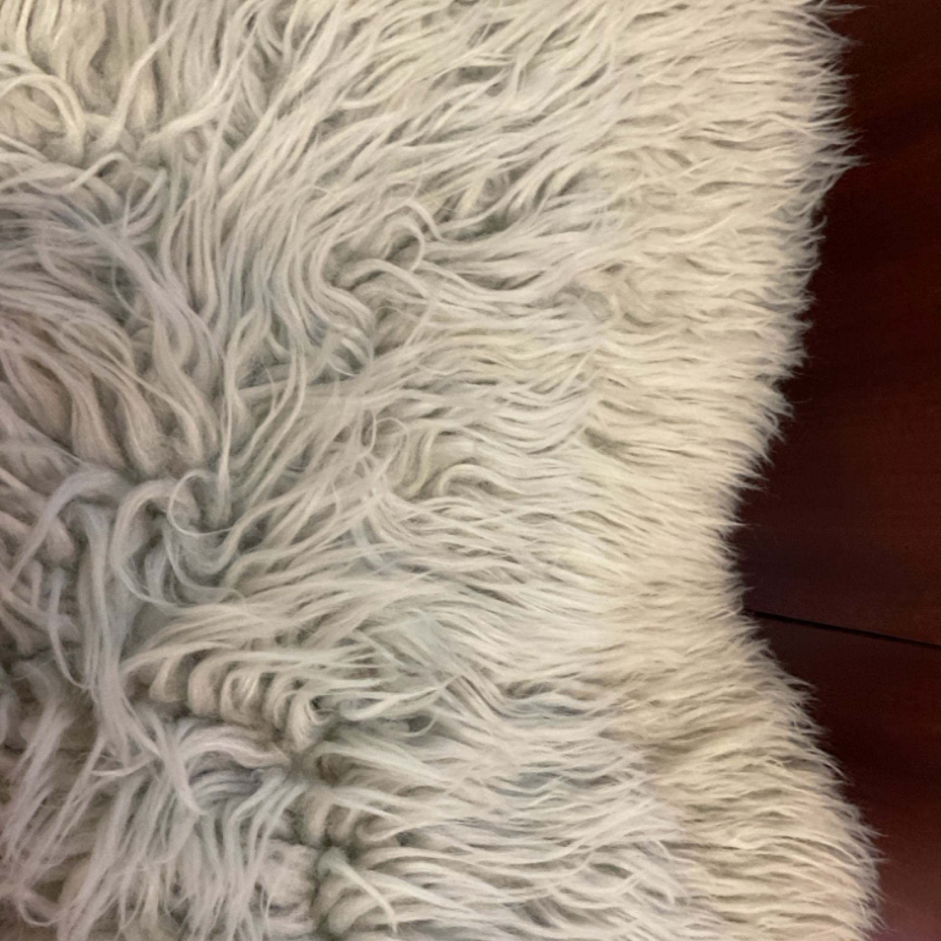 Grey Rug