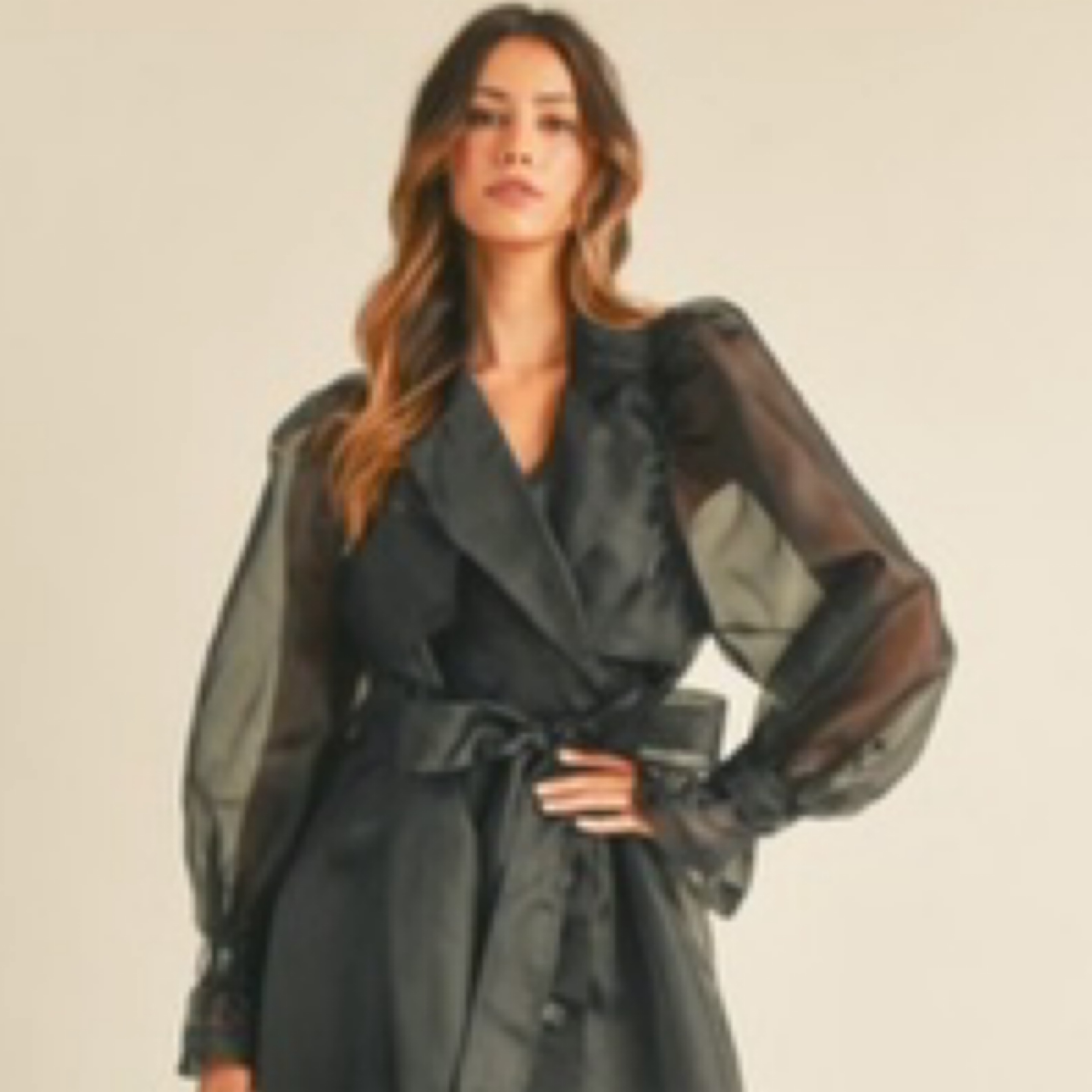 Mable Organza Puff Sheer Trench