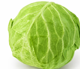 Cabbage