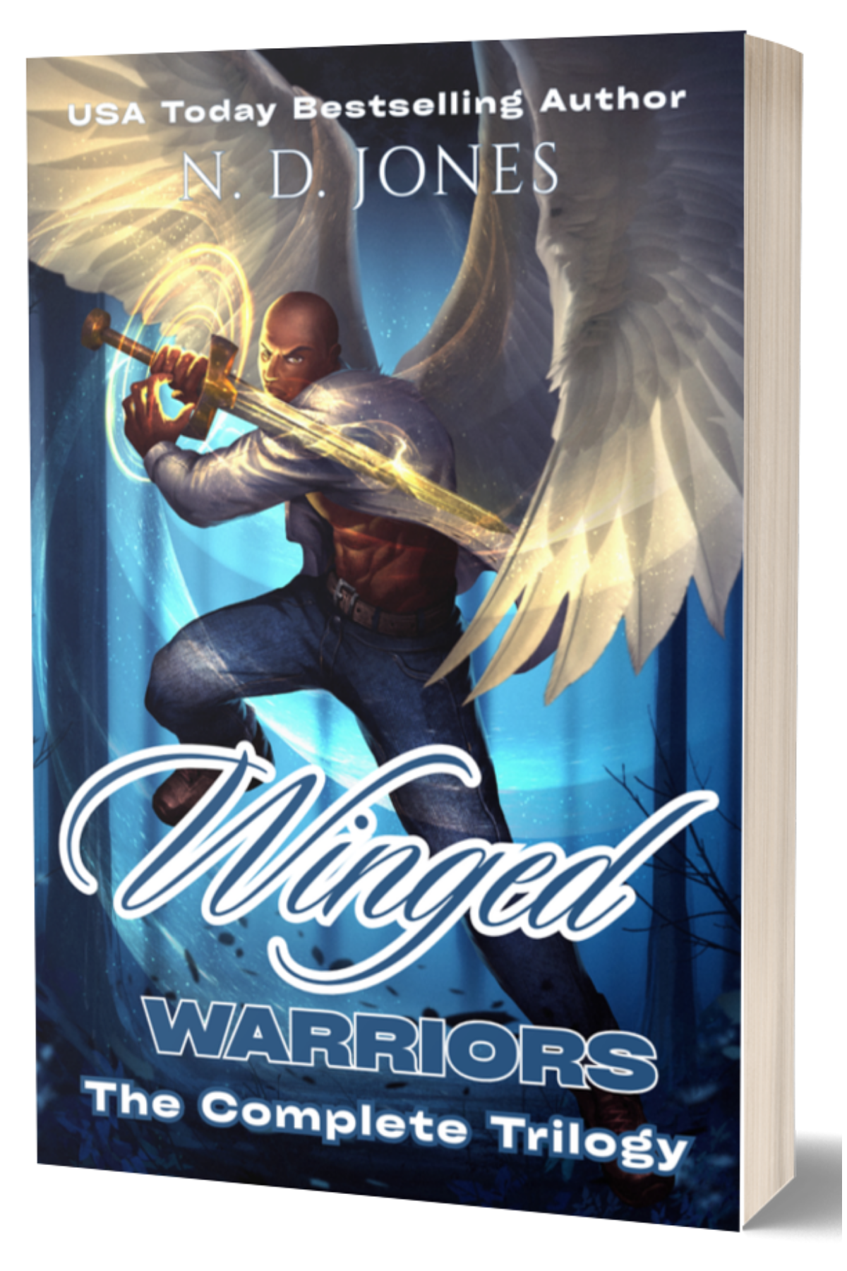 Winged Warriors (Paperback)