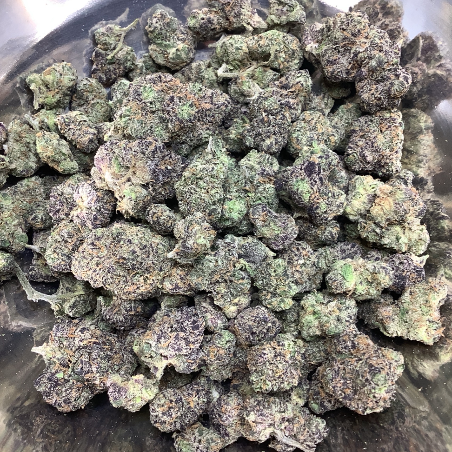 Blueberry Caviar - Regular