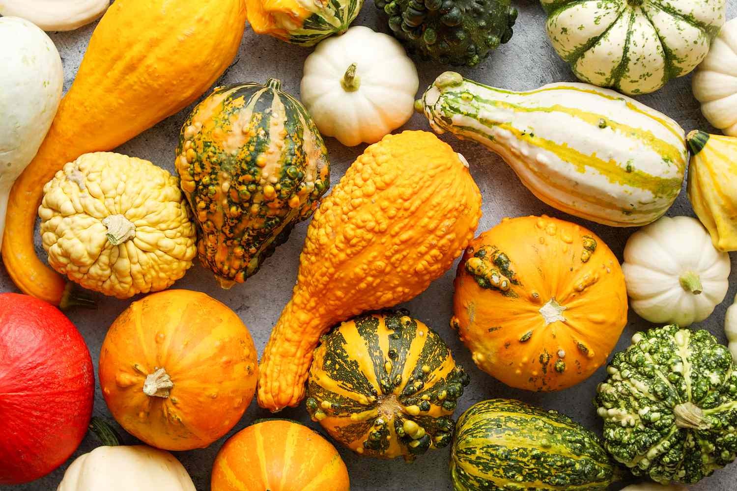 Gourd - Individual