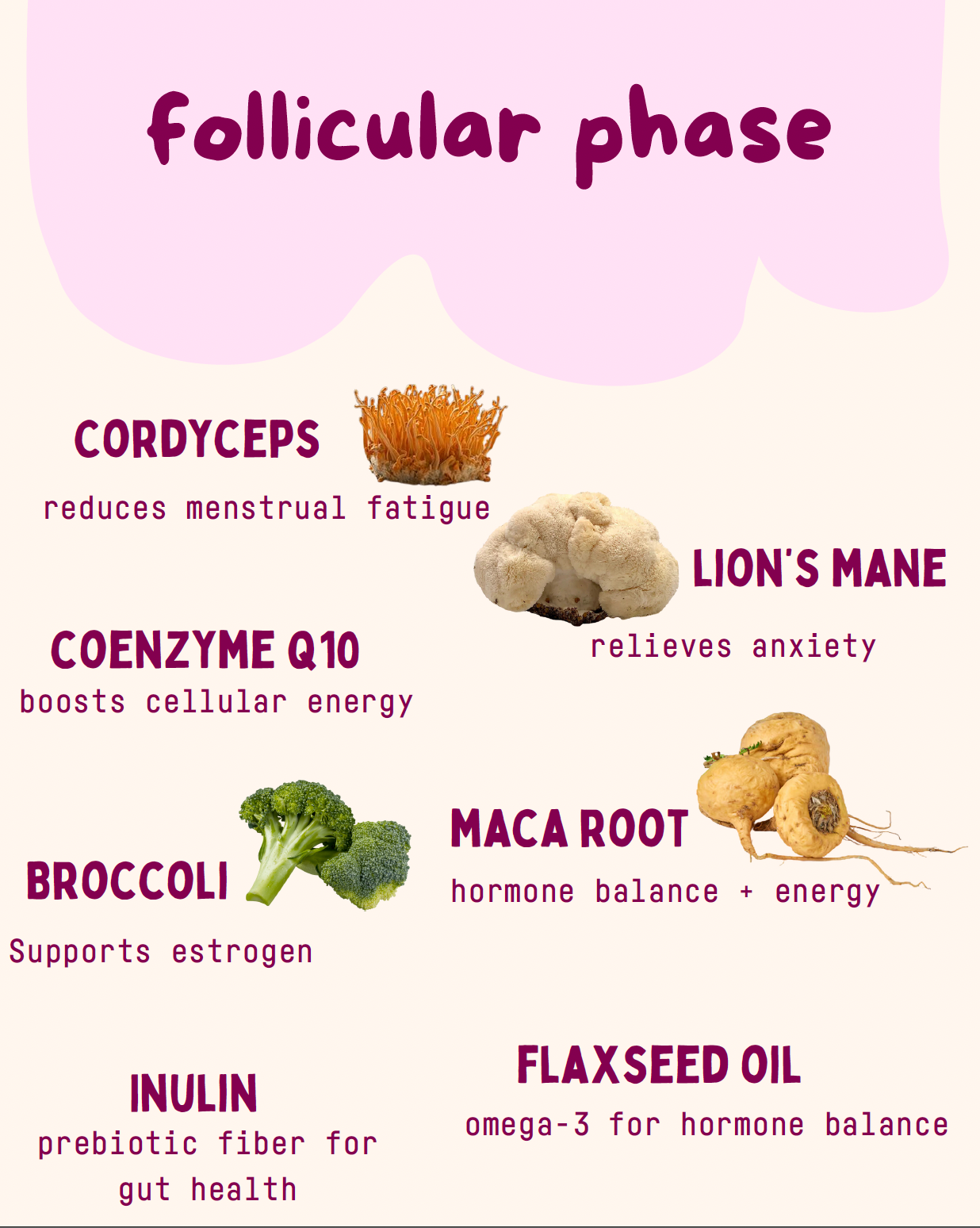Follicular Phase Gummies 5 count
