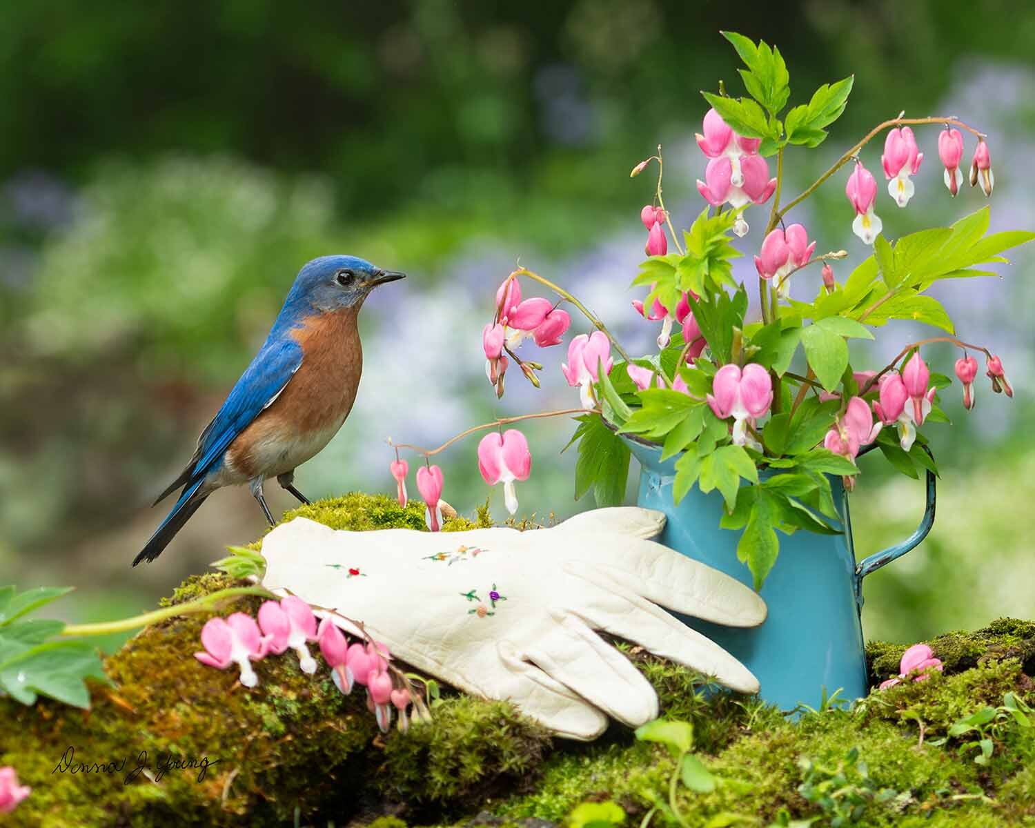 The Little Gardener