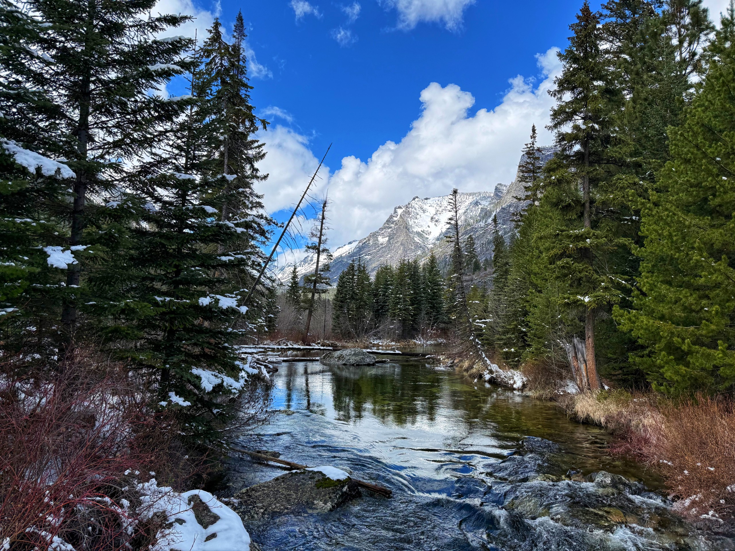 Bear Creek Trail, Stevensville, MT #2