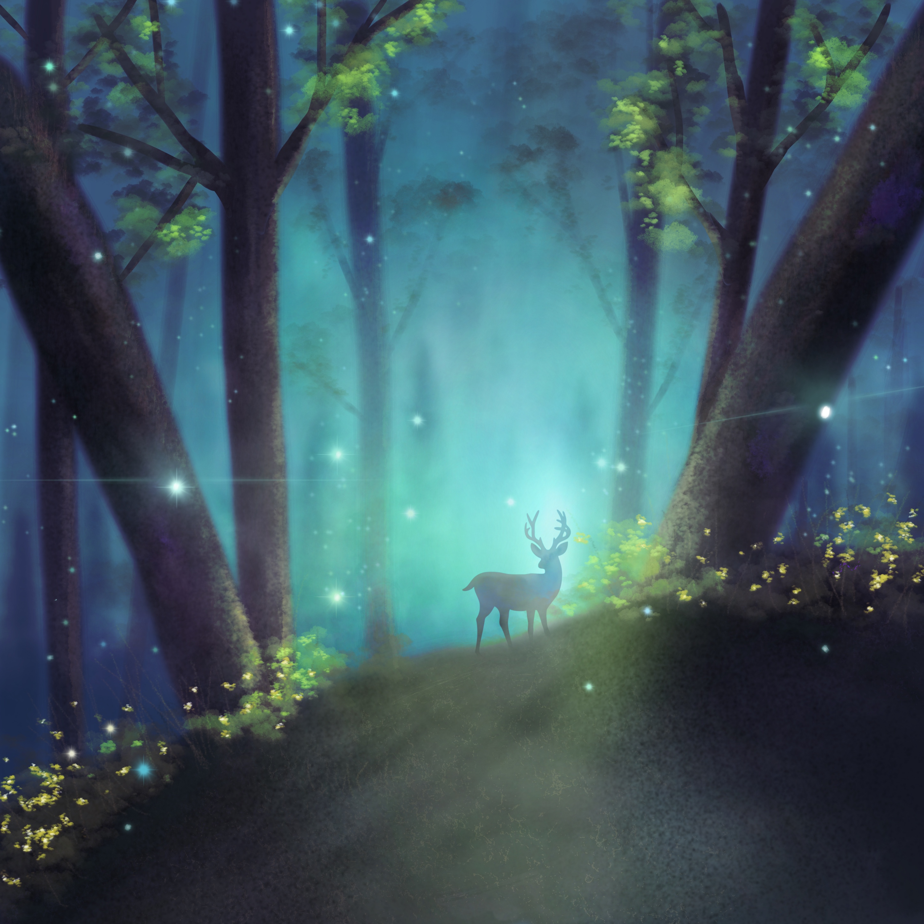 585 Enchanting Forest