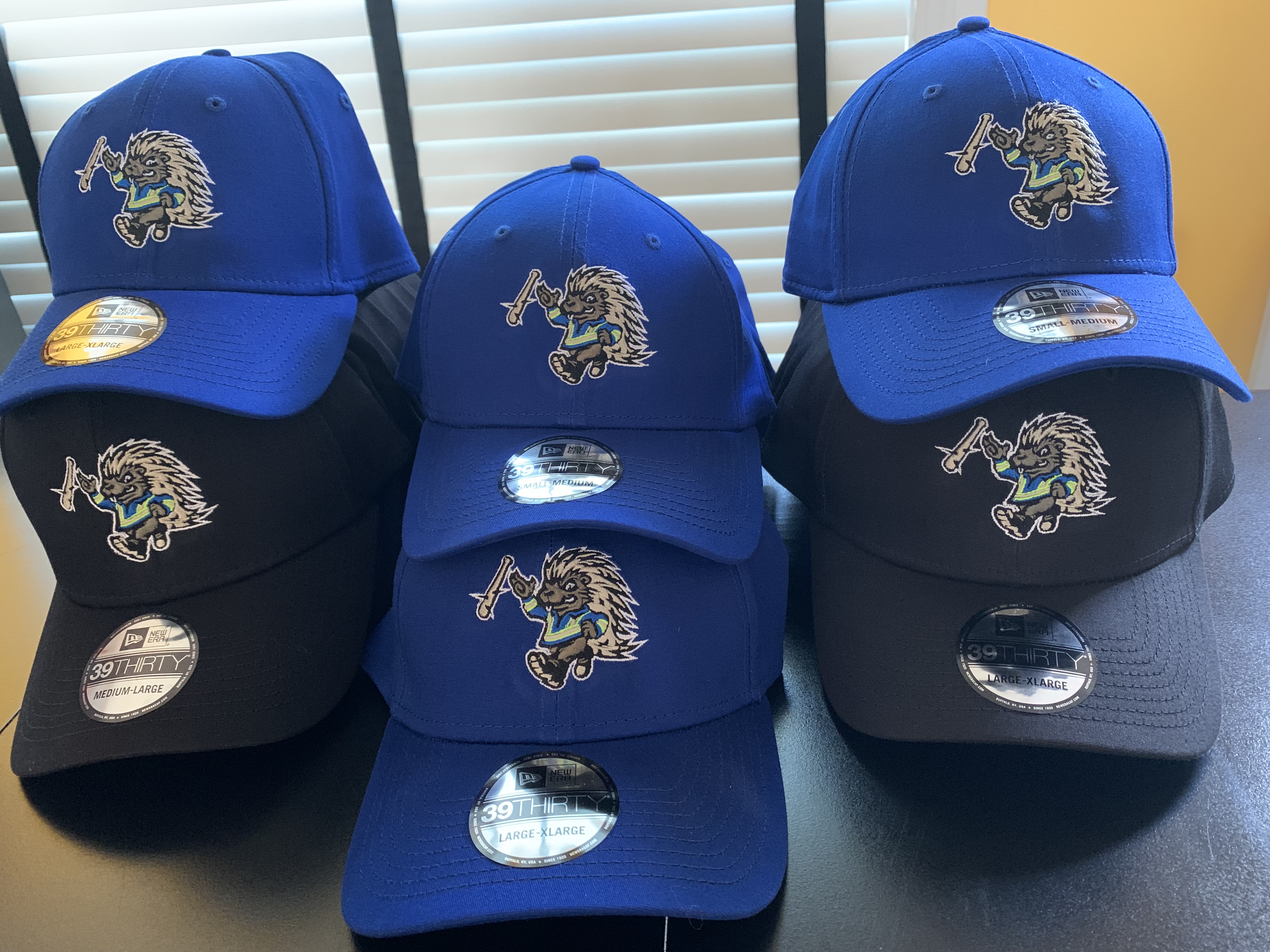 EC Cactus Rats Ballcap