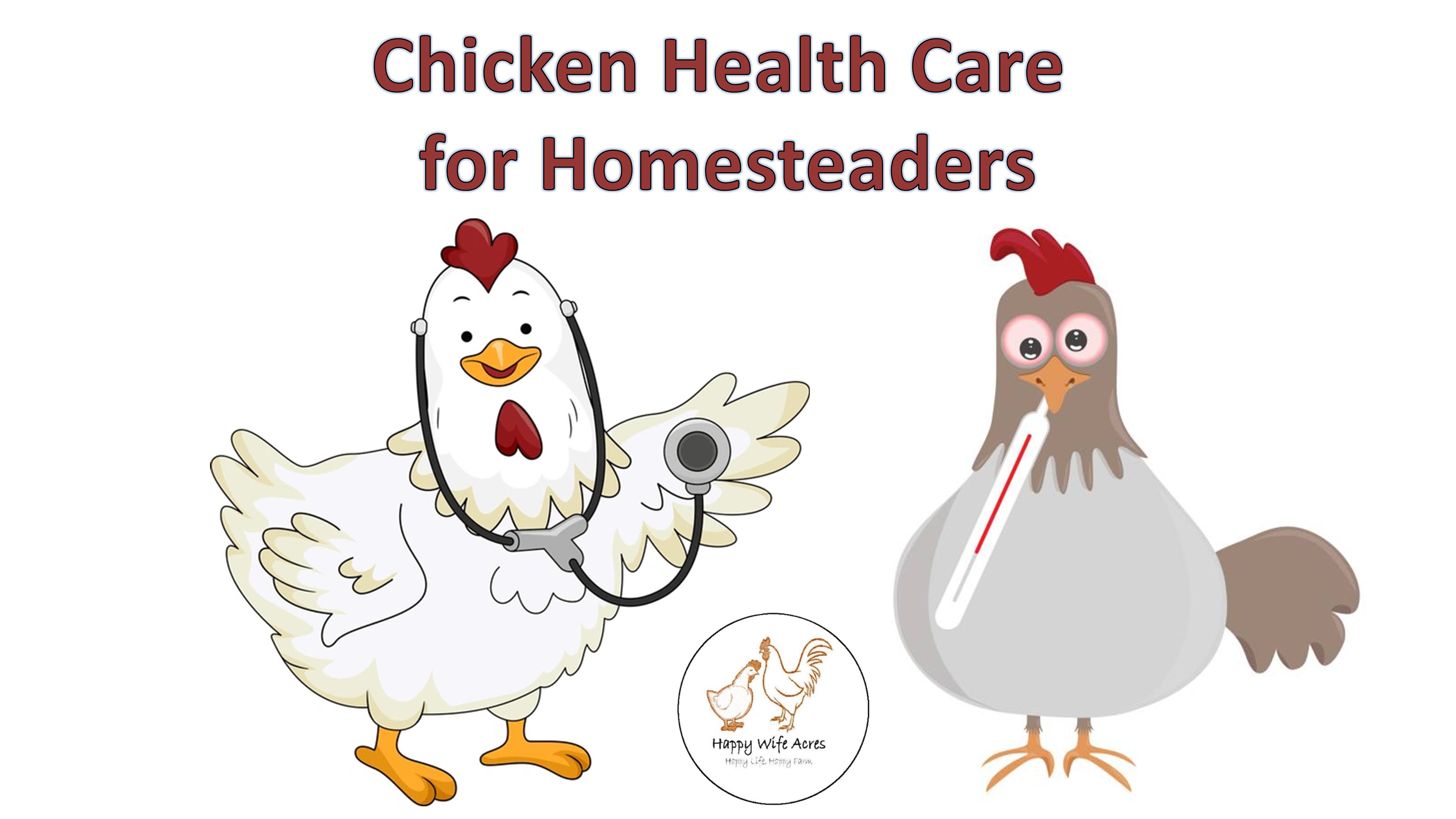 Chicken Health Care for Homesteaders Class (14 March 2026)