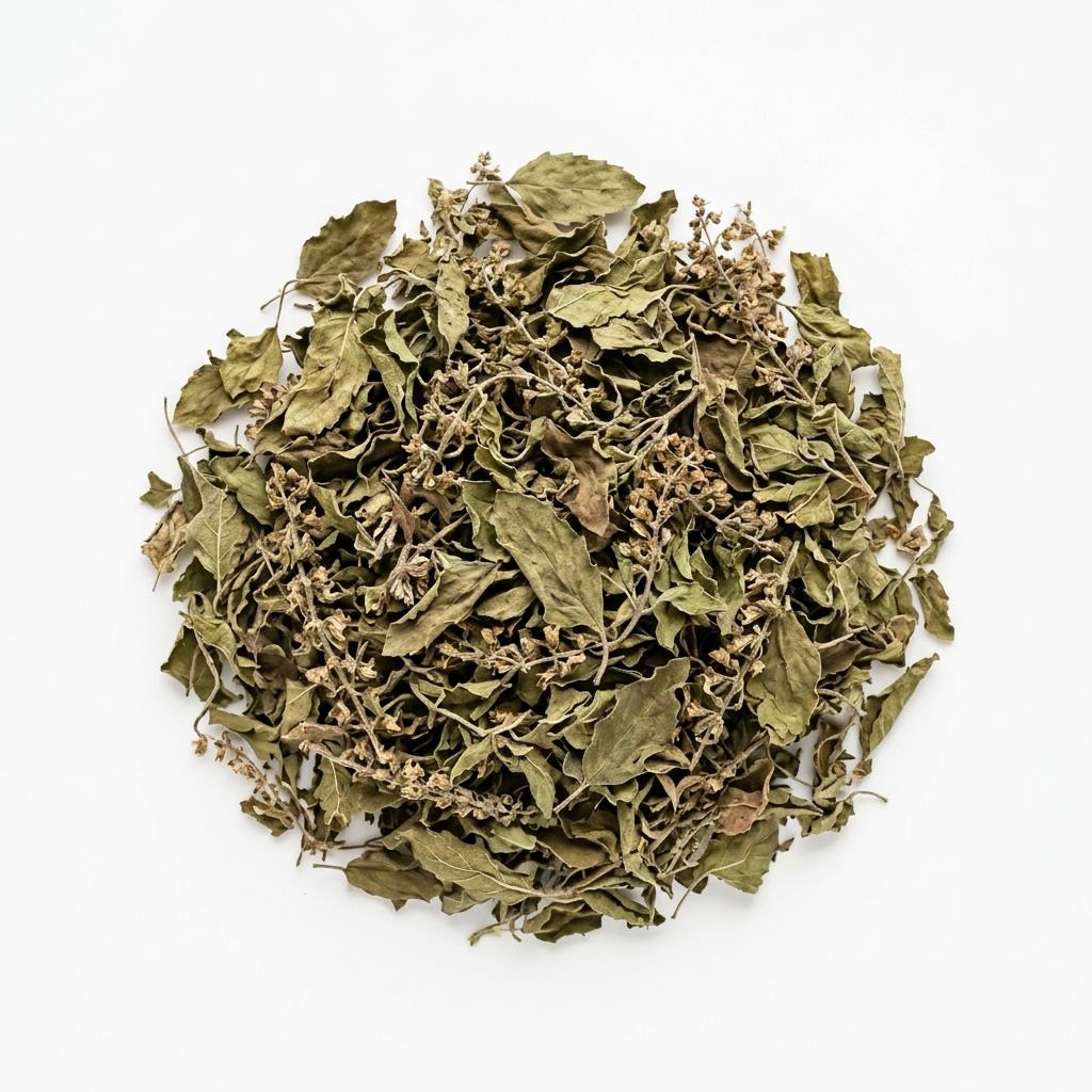 Holy Basil Rama