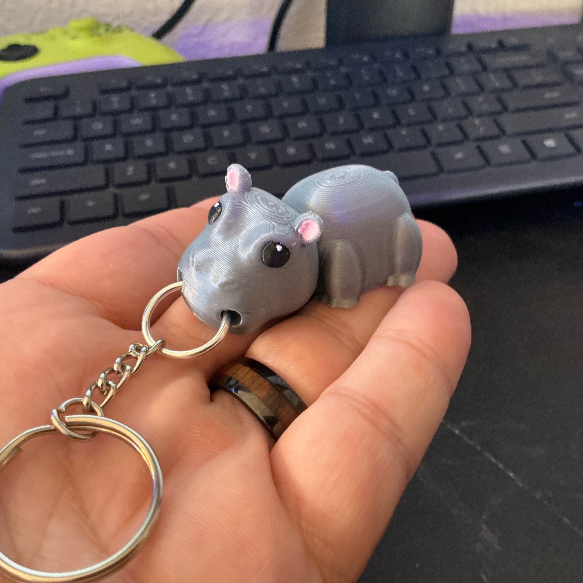 KC Hippo