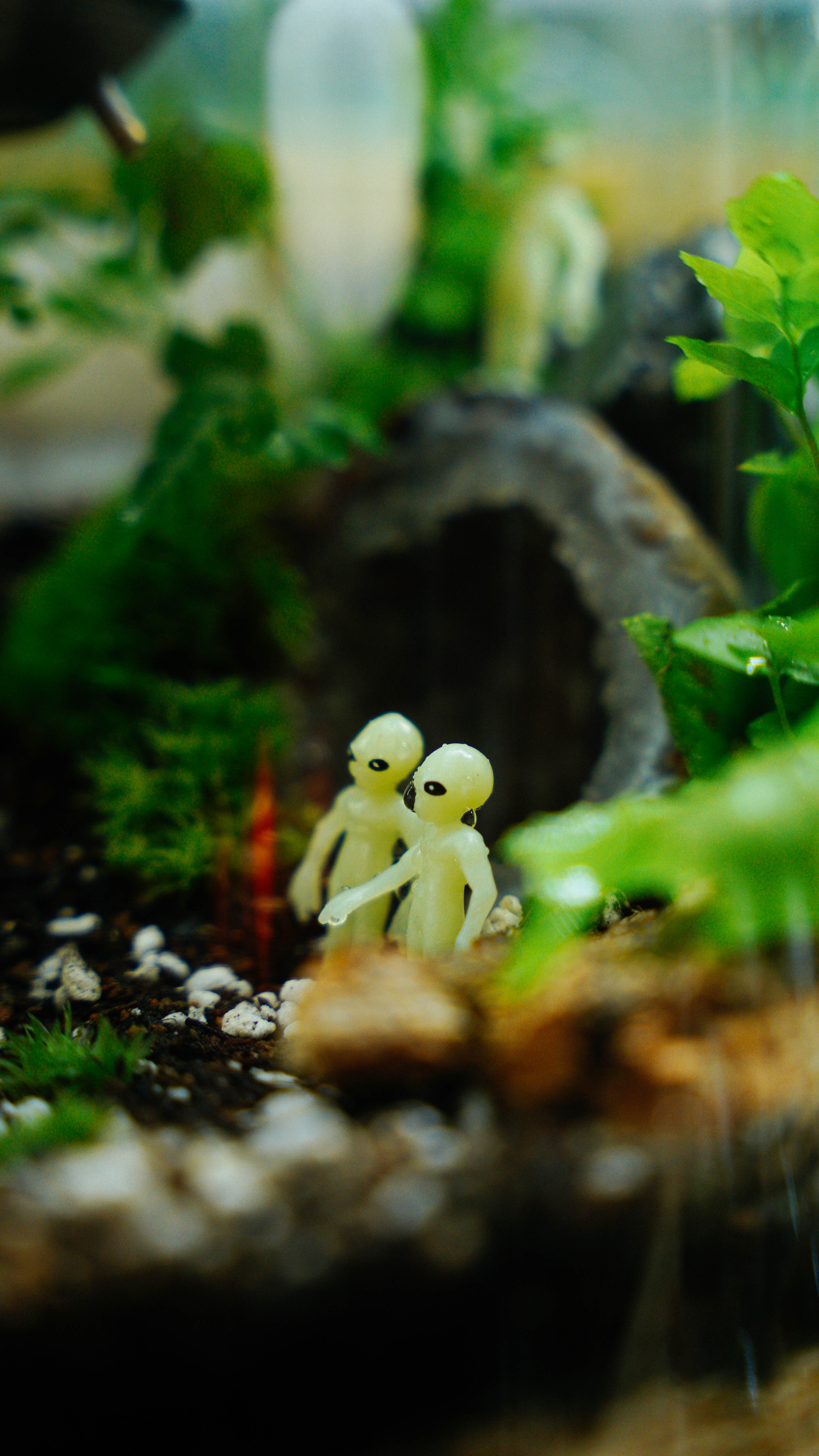 10/18 - Extraterrestrial Alien Ecosystem Terrarium Building Workshop