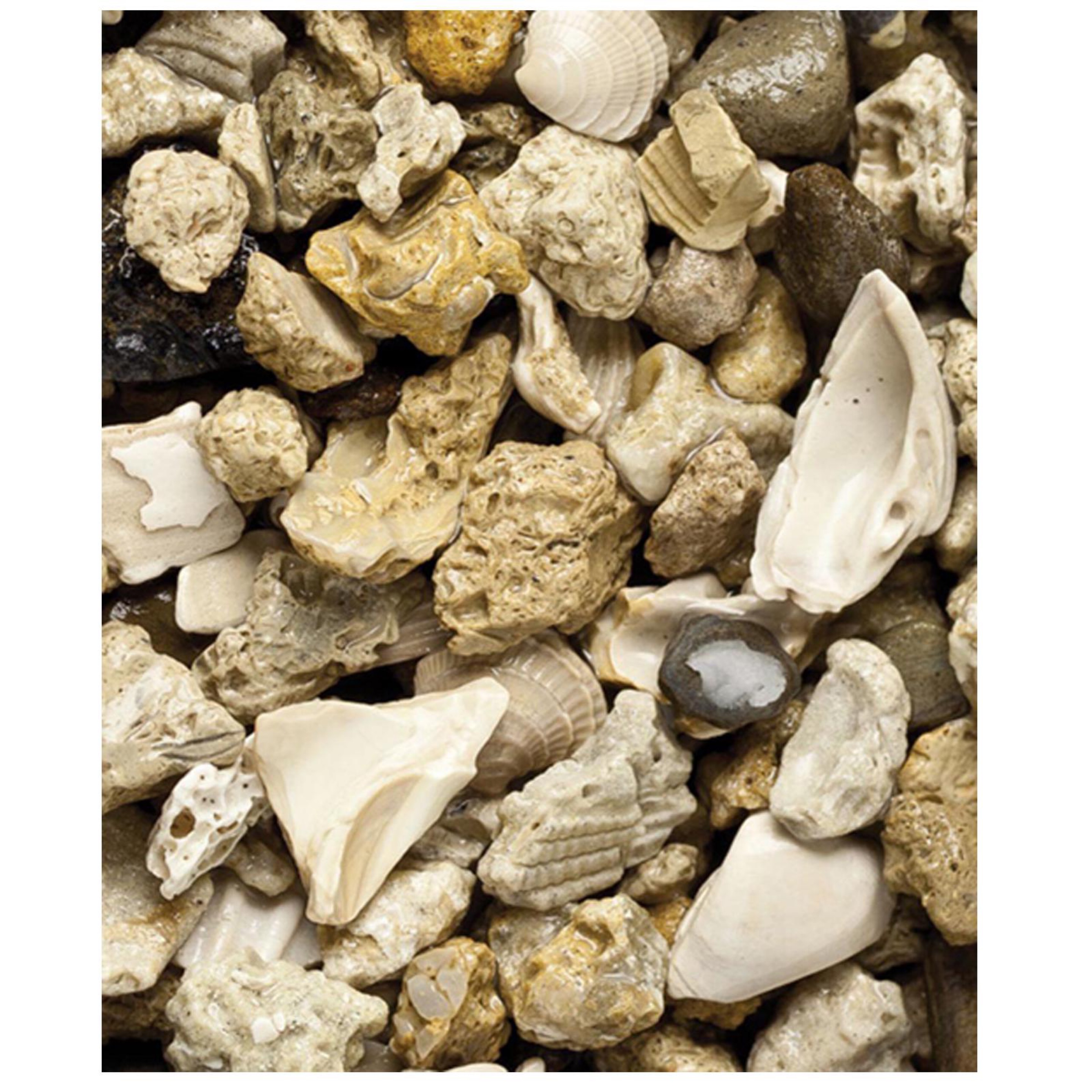 Caribsea African Cichlid Mix Original Vibrant Natural Coloration of Fish 20 lb
