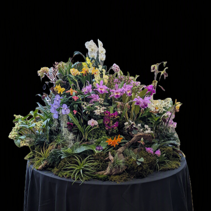 CT Orchid Society Show & Sale- Saturday Event Ticket