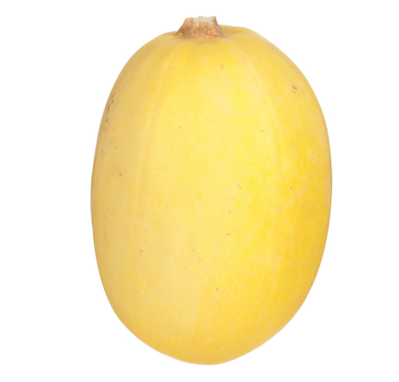 Squash - Spaghetti