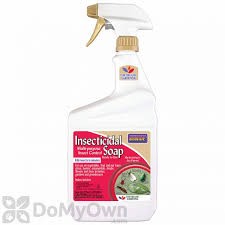 Bonide Insecticidal Soap, 32 Fl. Oz. Ready to Use