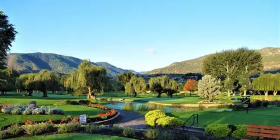 1 Golfer at MSA Golf Tournament (BCWWA)