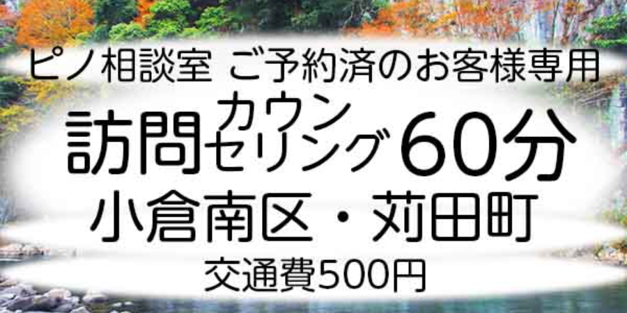 訪問カウンセリング60分（小倉南区・苅田町）