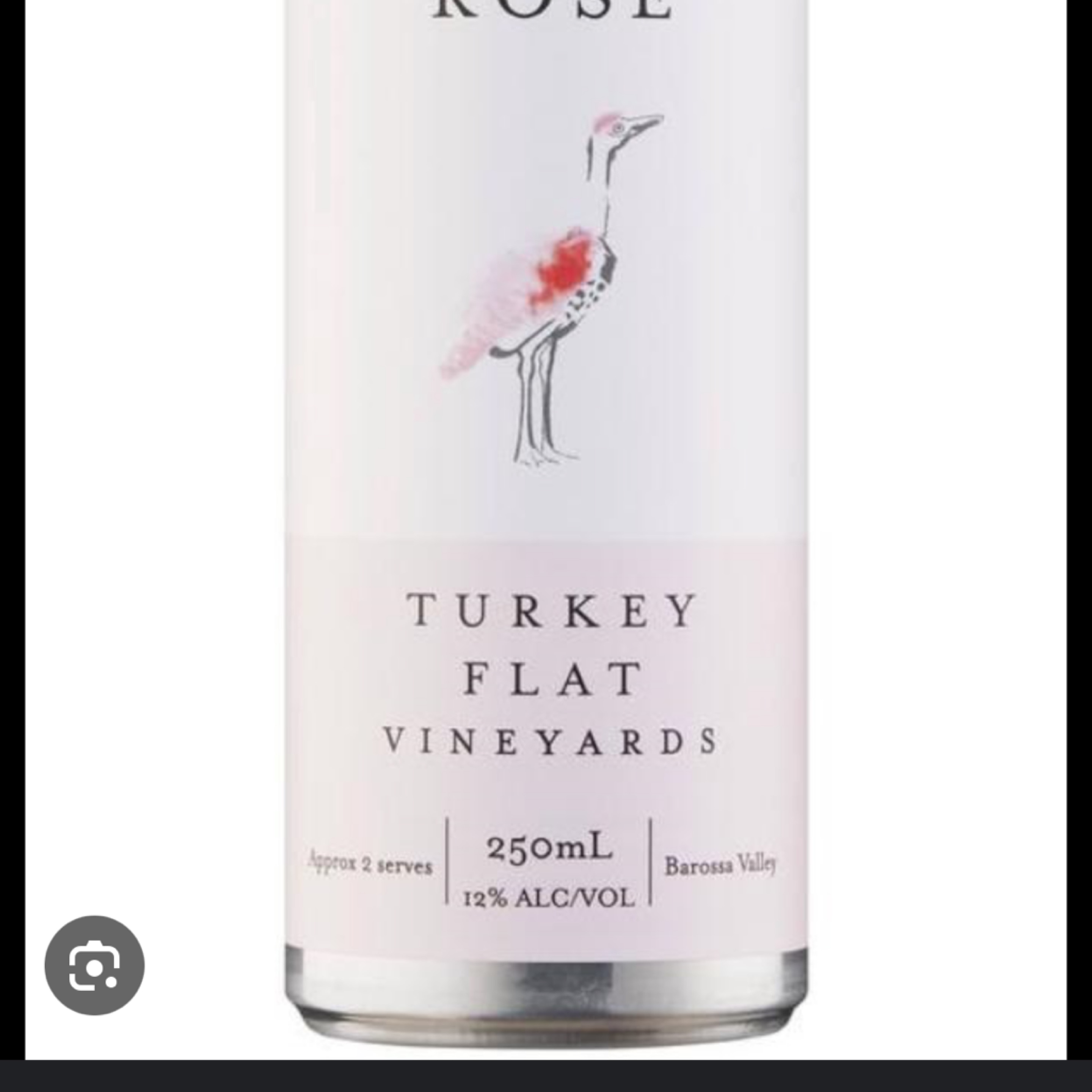 Zz Piccolo/ CAN Rose