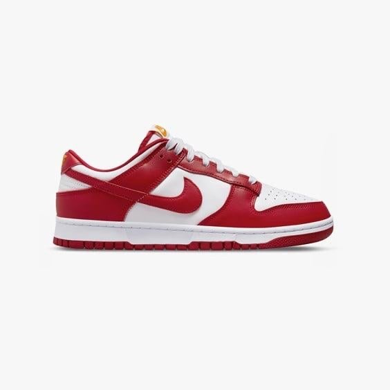 Nike Dunk Low Retro (new) size 10