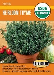 Heirloom Thyme Seed Pack, Organic