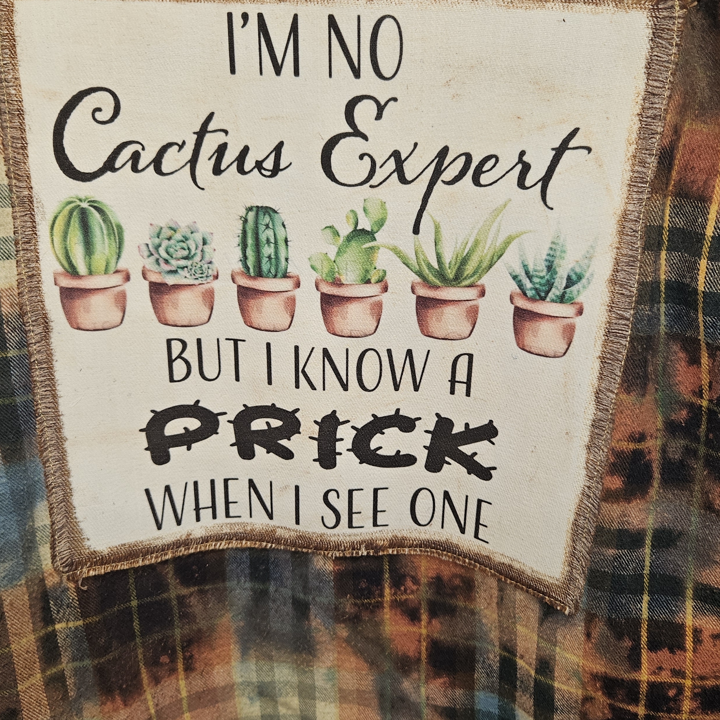 Shirt 106 - I'm no cactus expert-XXL
