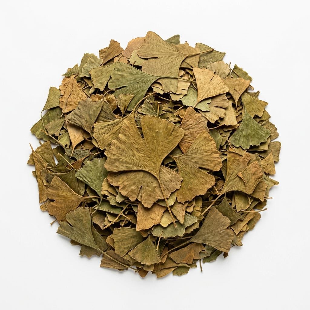 Ginkgo Leaf