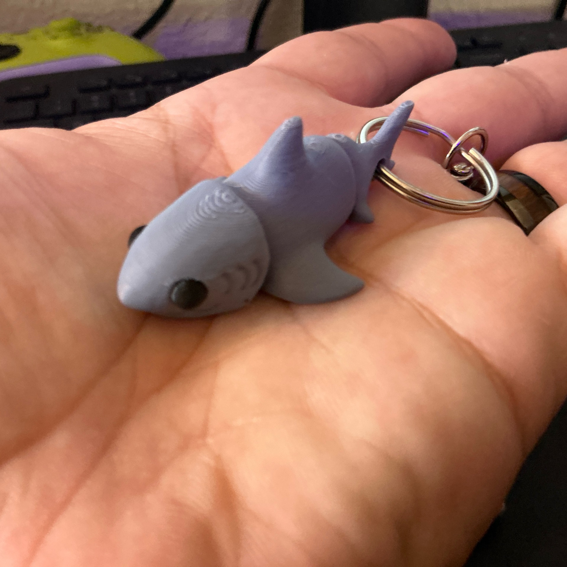 KC Sharks