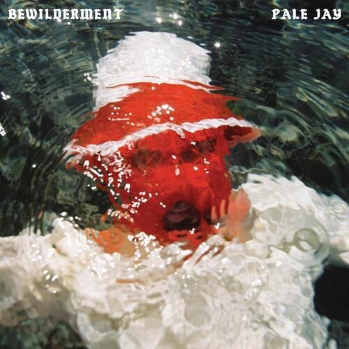 Pale Jay - Bewilderment by Unknown Artist - View 1