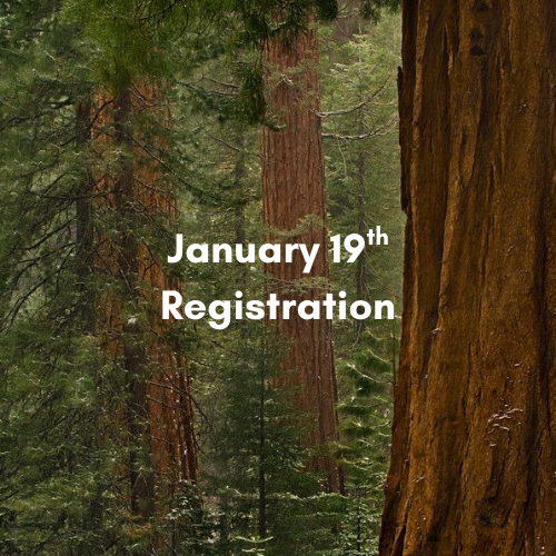 Pro-D Day: January 19