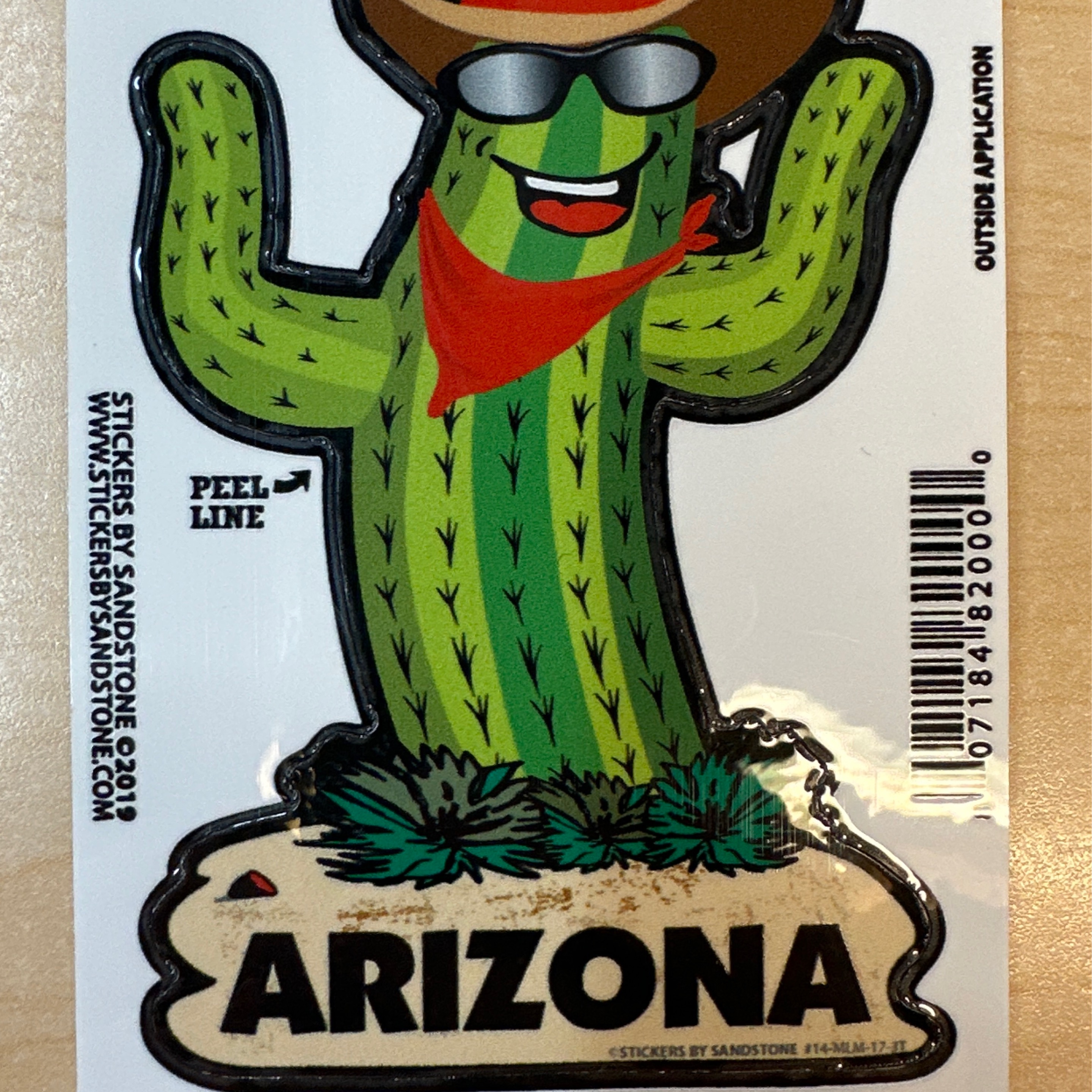 Arizona Cactus w\hat Sticker Medium