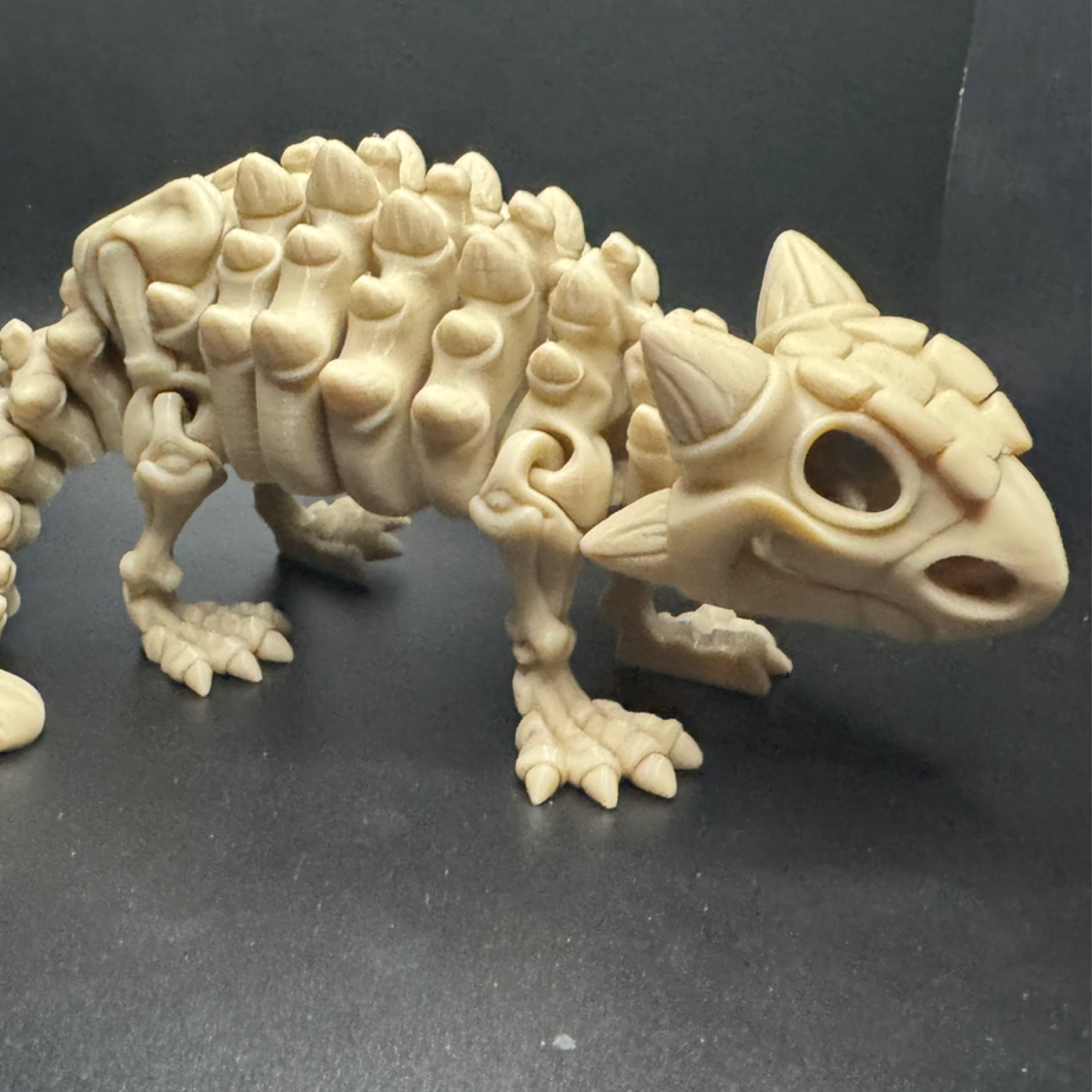Skeleton Ankylosaurus