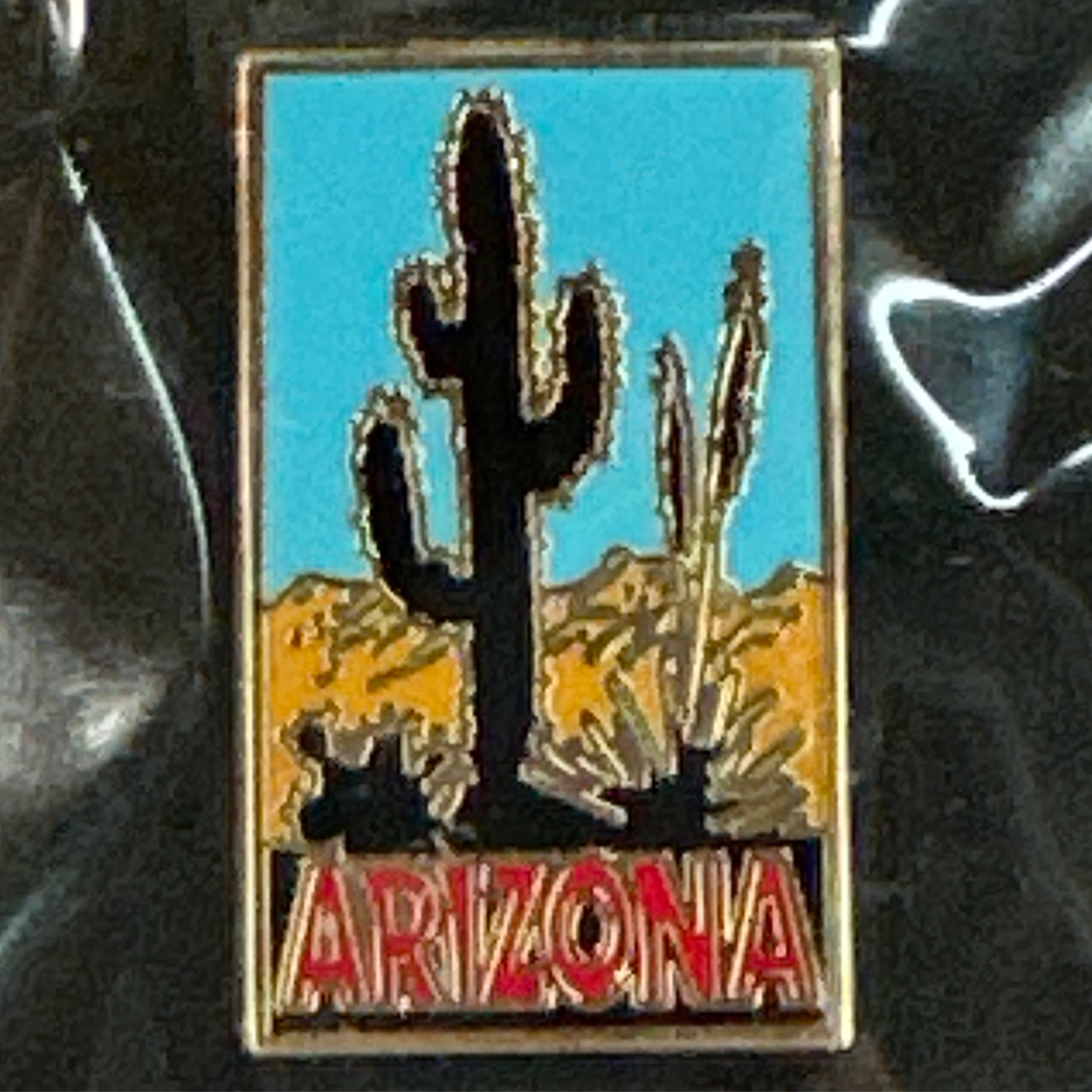 GMW-Arizona Souvenir Pin