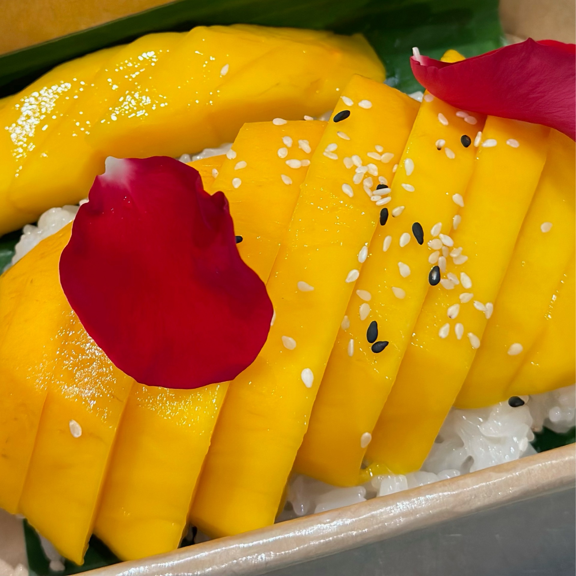 MANGO STICKY RICE เหนียวม่วง