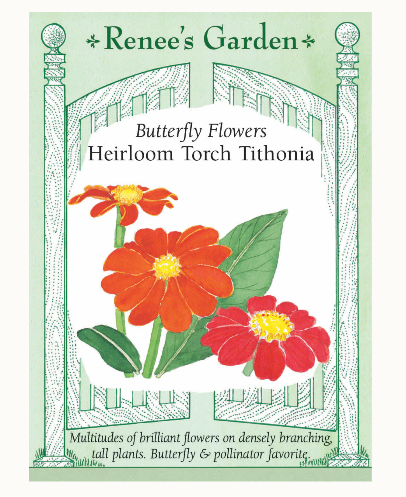 Renee's Garden | Butterfly Flowers Heirloom Torch Tithonia